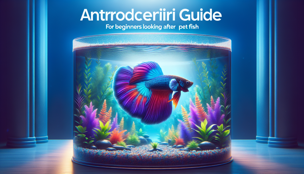 Beginners Guide To Caring For A Pet Fish